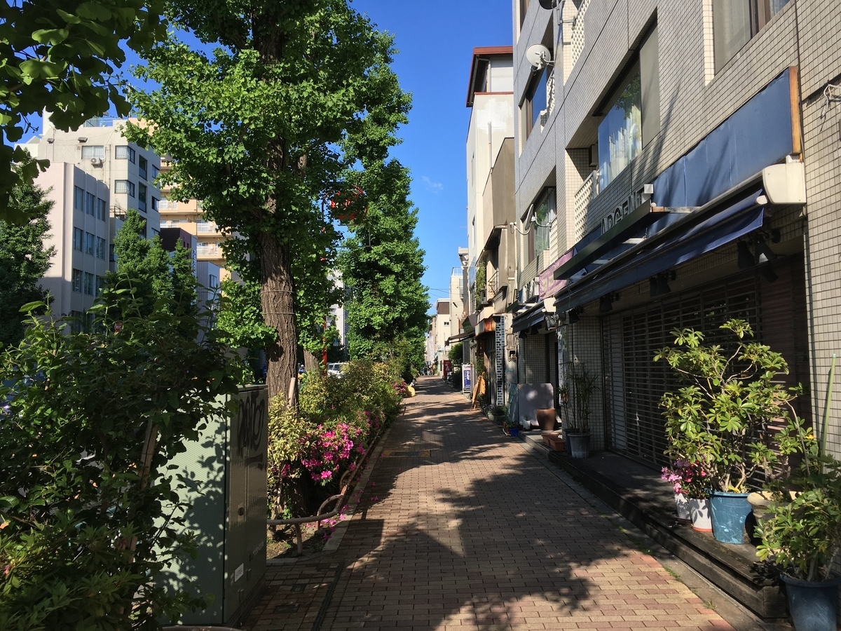 f:id:hikaru217:20210321221053j:plain