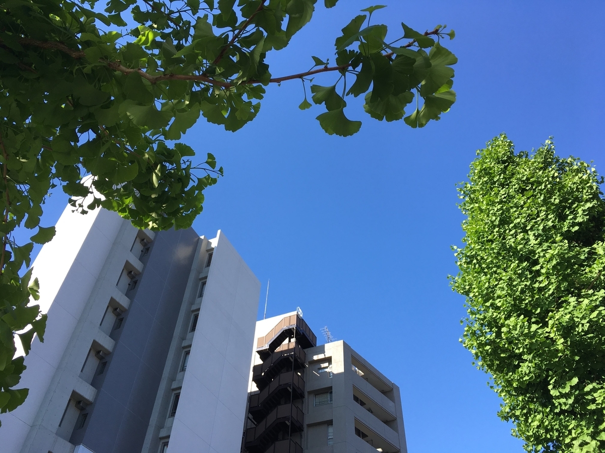 f:id:hikaru217:20210321221134j:plain