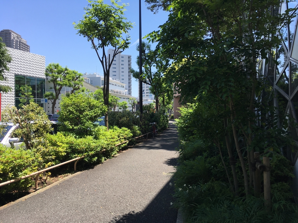 f:id:hikaru217:20210321221923j:plain