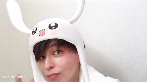 f:id:hikaru233391:20190501112657j:image