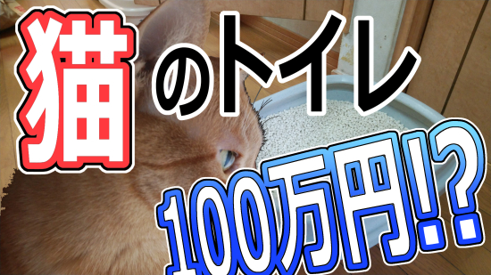 f:id:hikaru_n:20200329134447j:plain f:id:hikaru_n:20200329134447j:plain