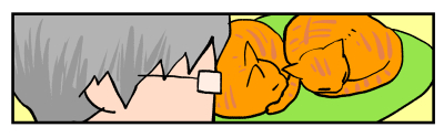 f:id:hikaru_n:20200329134834j:plain f:id:hikaru_n:20200329134834j:plain