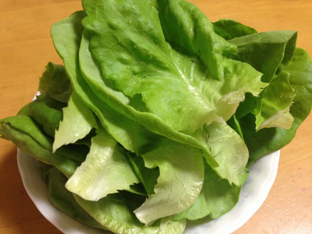 f:id:hikarujinzai:20150802201057j:plain f:id:hikarujinzai:20150802201057j:plain