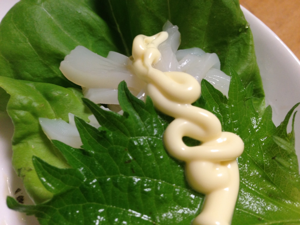 f:id:hikarujinzai:20150802202113j:plain f:id:hikarujinzai:20150802202113j:plain