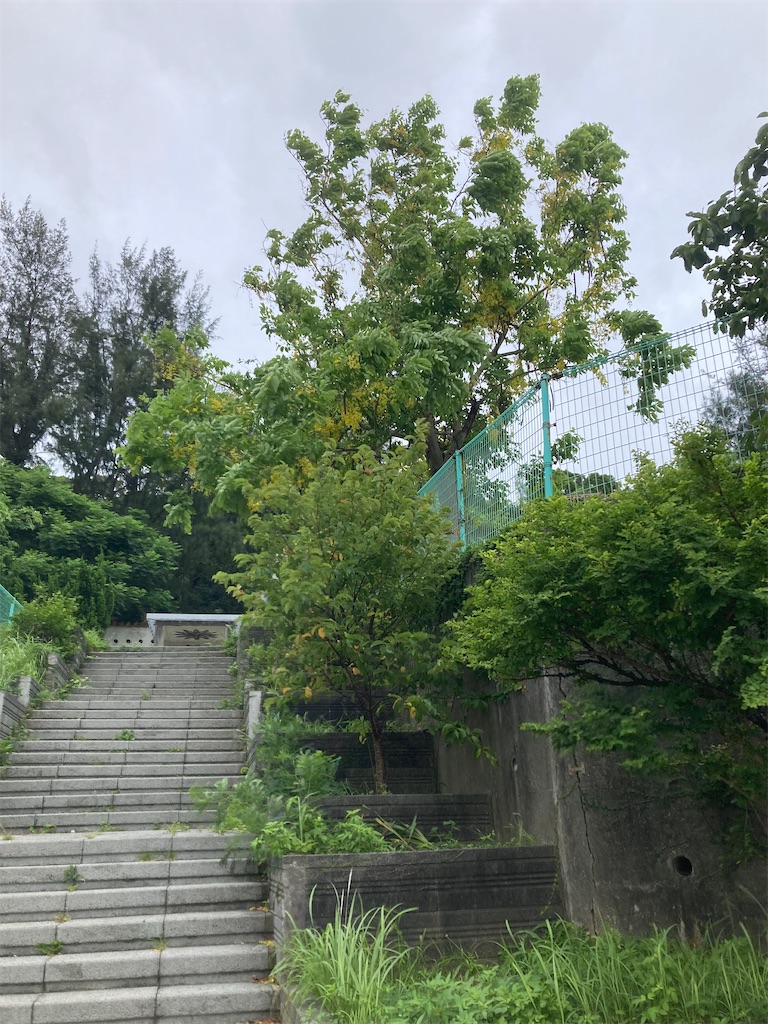 f:id:hikarukanabun:20260712095437j:image