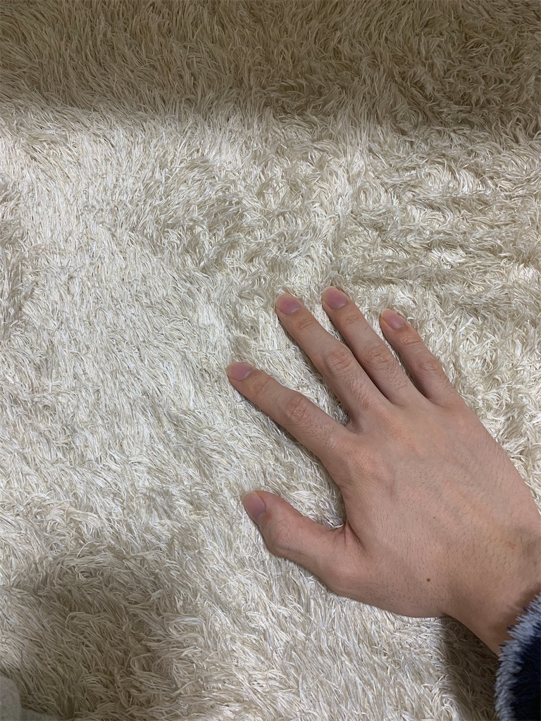 ニューカーペット。もふもふ。ふかふか。 大学生ヒカルblog.