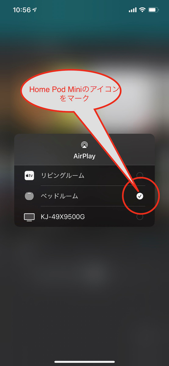 f:id:hikarureon:20210107111102j:plain