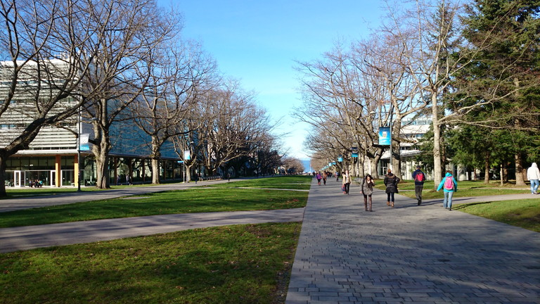 Main Mall