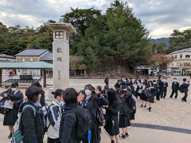 f:id:hikawa-blog:20251112074105j:image