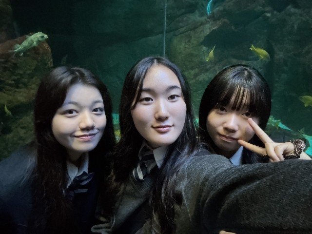 f:id:hikawa-blog:20251112144046j:image