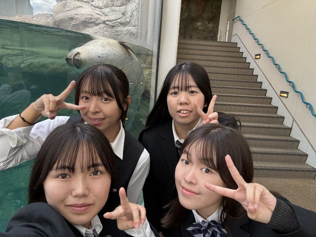 f:id:hikawa-blog:20251112145545j:image