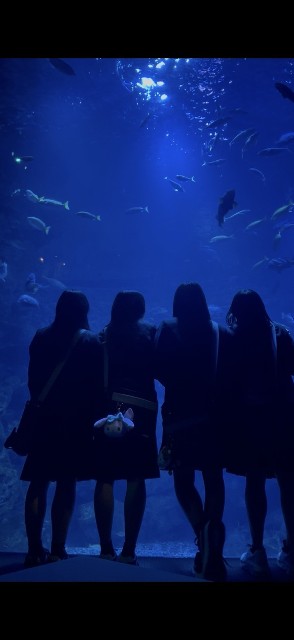 f:id:hikawa-blog:20251112145645j:image