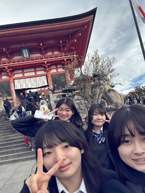 f:id:hikawa-blog:20251112151049j:image