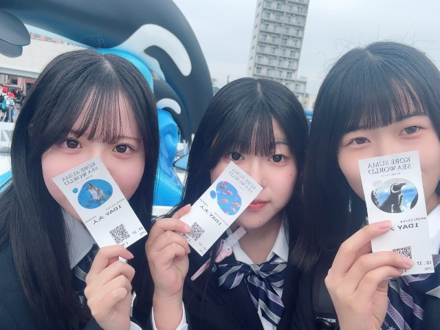 f:id:hikawa-blog:20251113190051j:image