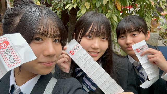 f:id:hikawa-blog:20251113191007j:image