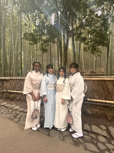 f:id:hikawa-blog:20251113201748j:image