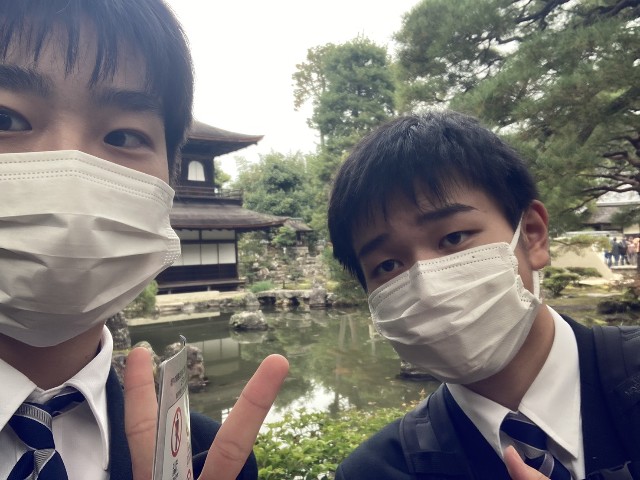f:id:hikawa-blog:20251113202044j:image