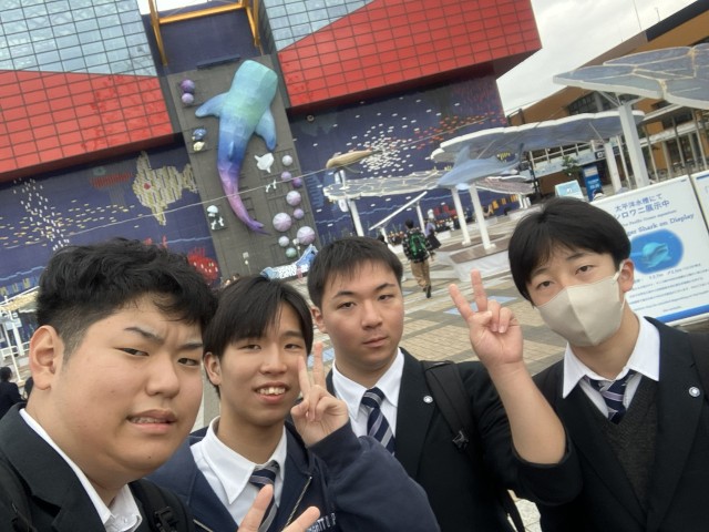 f:id:hikawa-blog:20251113202511j:image