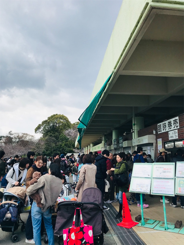 f:id:hikaxxx:20190331194552j:image