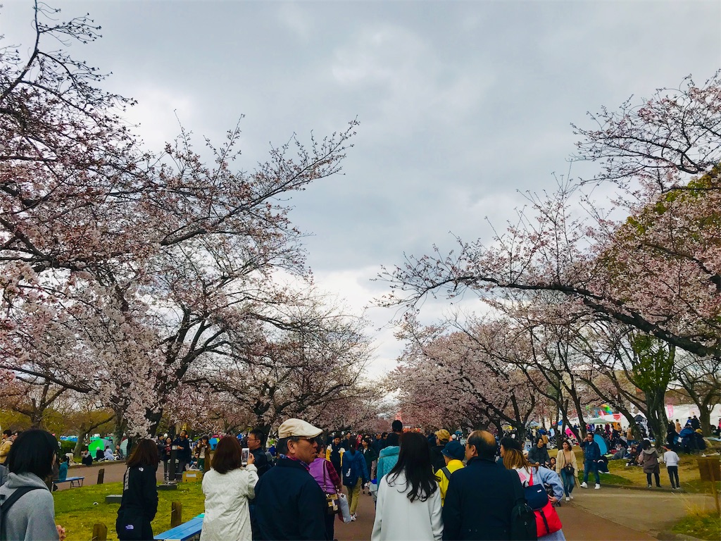 f:id:hikaxxx:20190331194620j:image