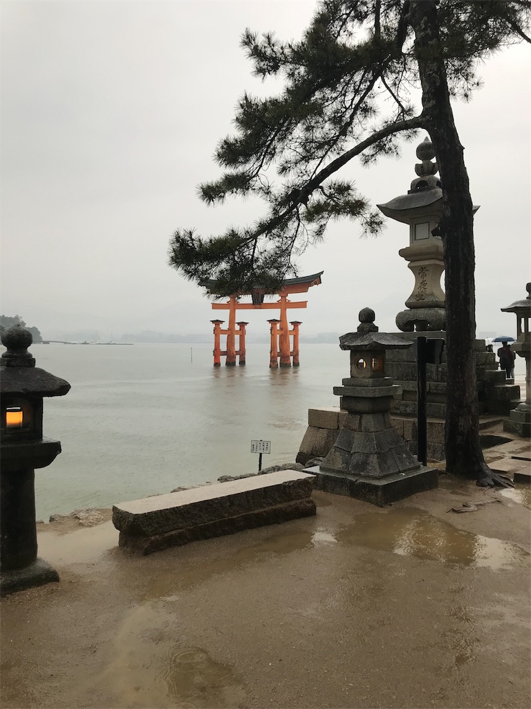 f:id:hikaxxx:20190501174426j:image