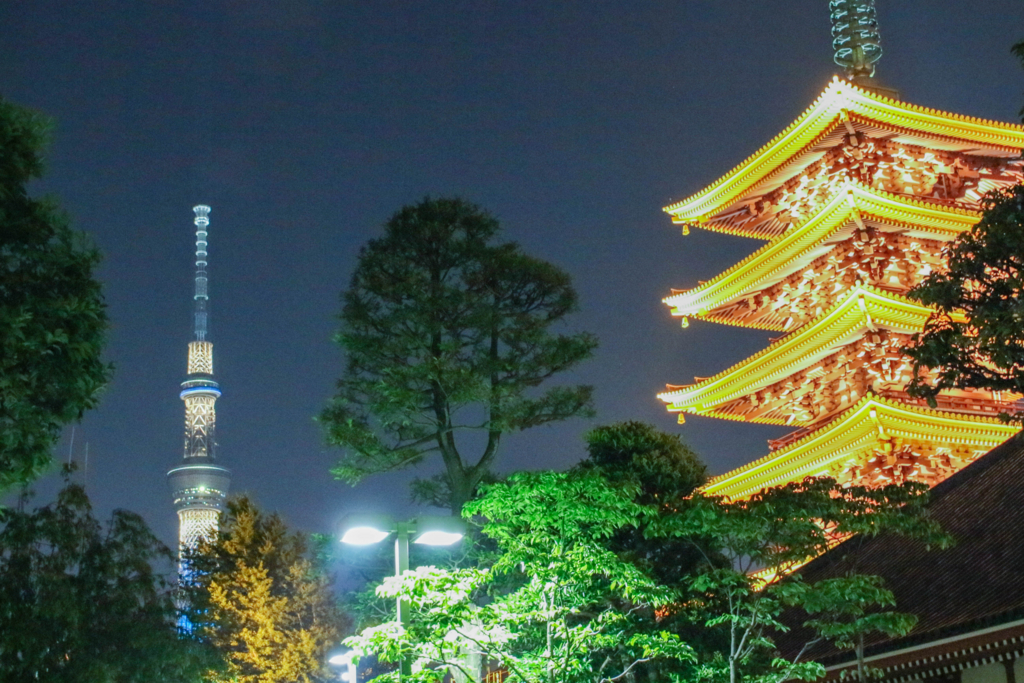 f:id:hikaze:20160802042327j:plain f:id:hikaze:20160802042327j:plain