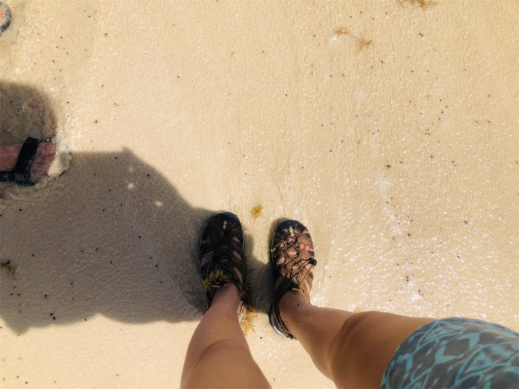 f:id:hike_osuga:20190516091402j:image