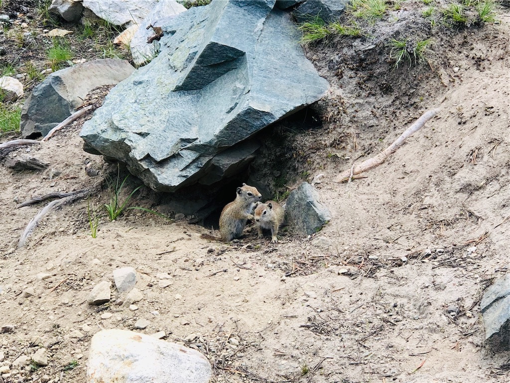 f:id:hike_osuga:20190829105244j:image