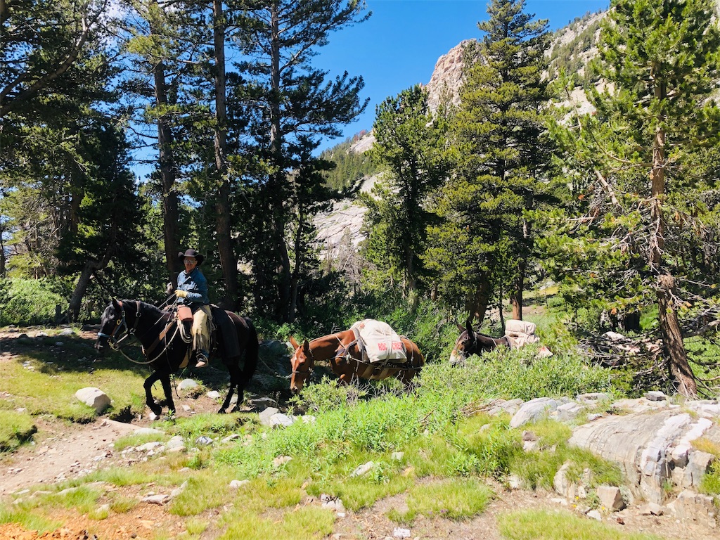 f:id:hike_osuga:20190830053715j:image