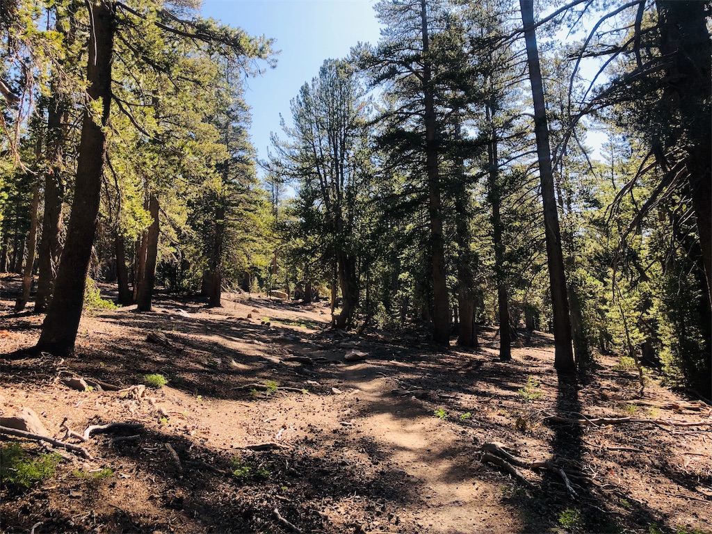 f:id:hike_osuga:20190830071918j:image