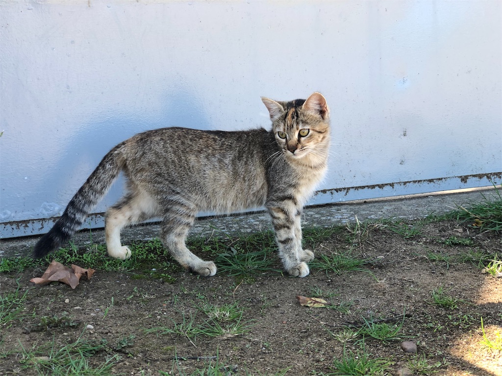 f:id:hike_osuga:20191025212159j:image f:id:hike_osuga:20191025212159j:image