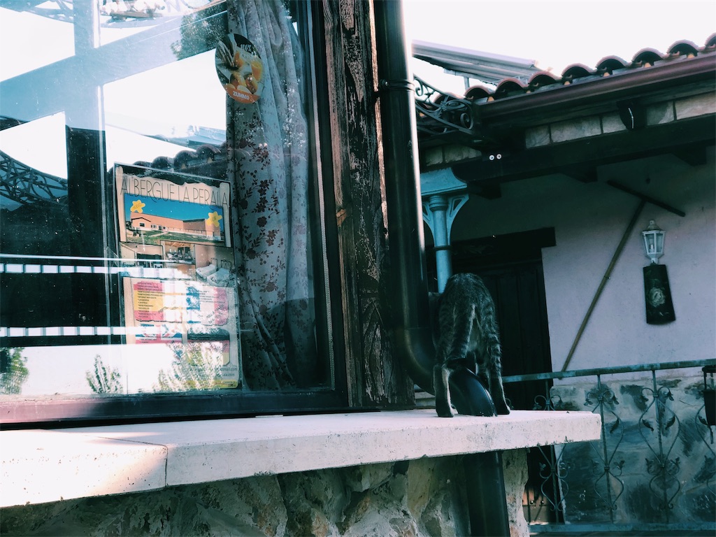f:id:hike_osuga:20191025224149j:image f:id:hike_osuga:20191025224149j:image