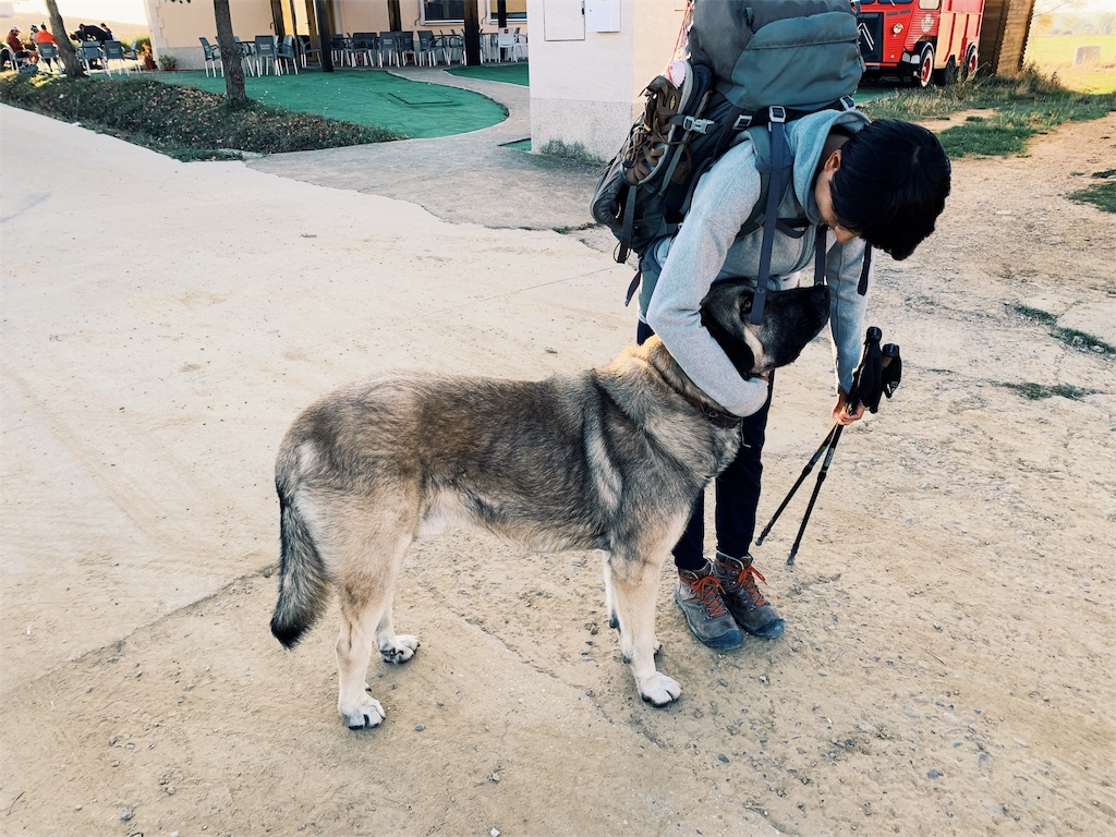 f:id:hike_osuga:20191025224240j:image f:id:hike_osuga:20191025224240j:image
