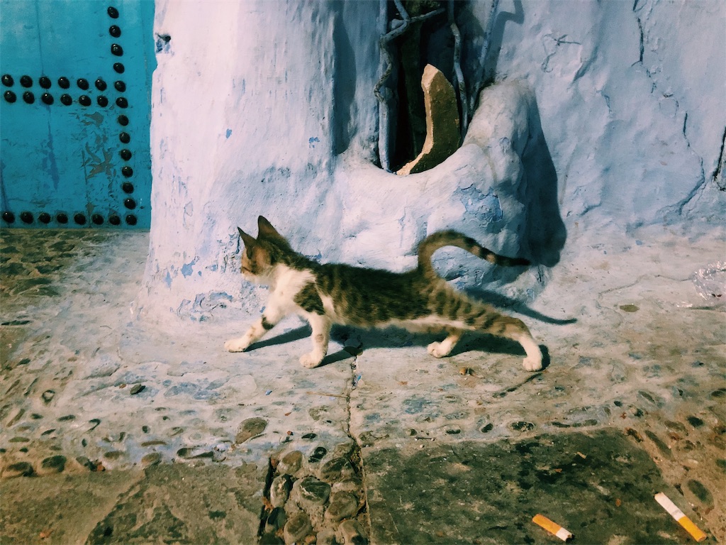 f:id:hike_osuga:20191116020129j:image f:id:hike_osuga:20191116020129j:image