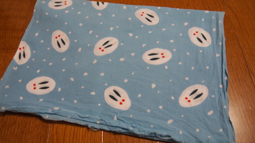 f:id:hikekkakusei:20210704032142j:plain