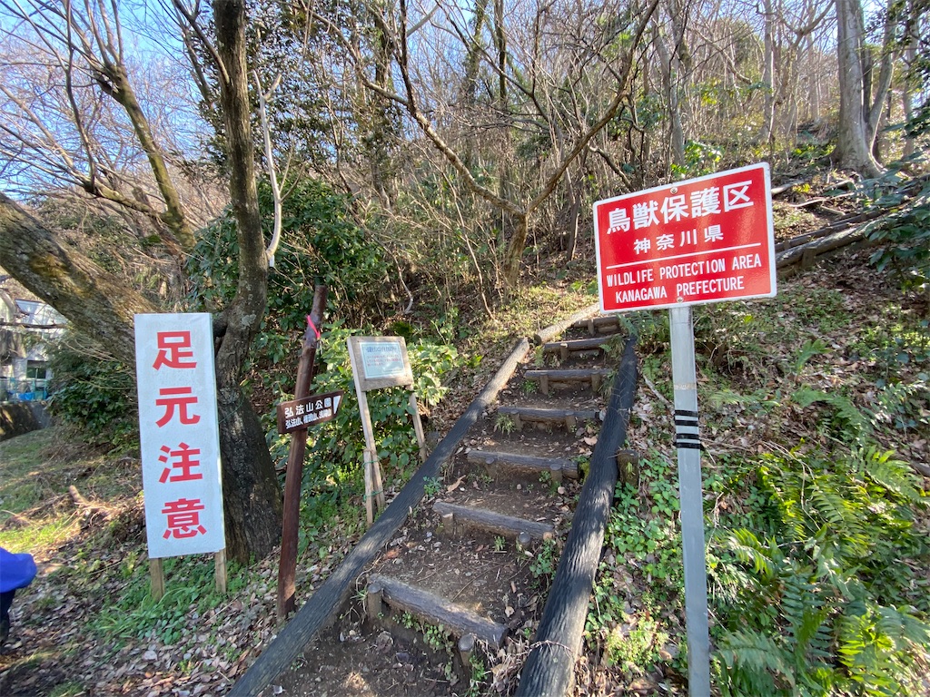 f:id:hikeringi:20200419213543j:image