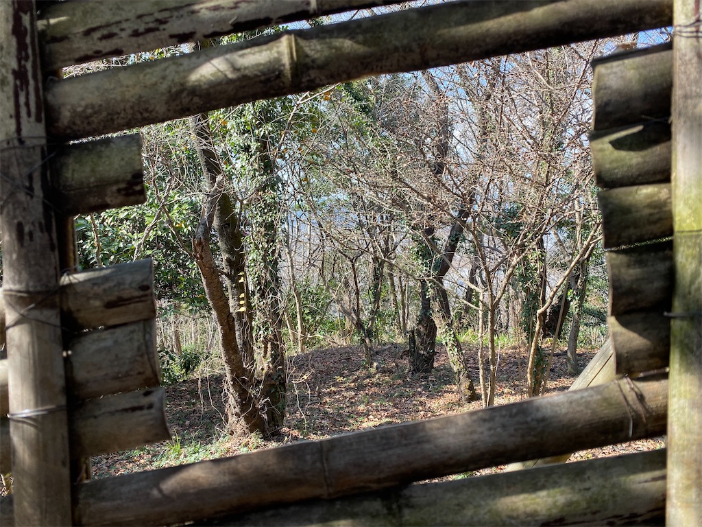 f:id:hikeringi:20200420001808j:image