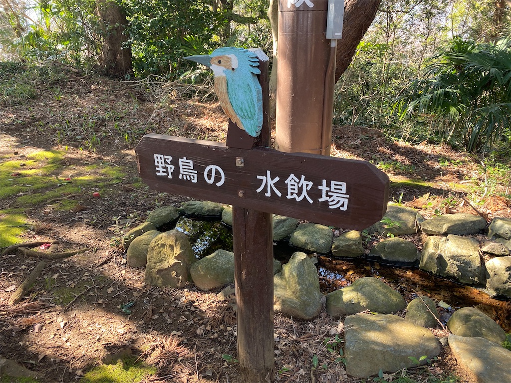 f:id:hikeringi:20200420002247j:image
