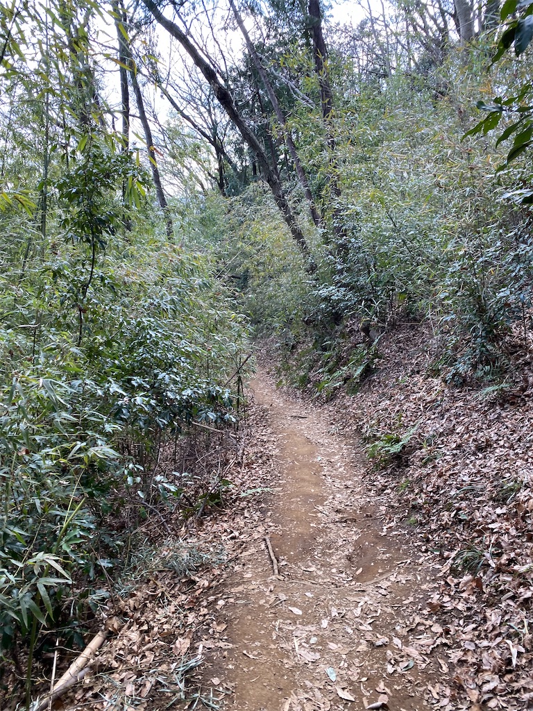 f:id:hikeringi:20200420004756j:image