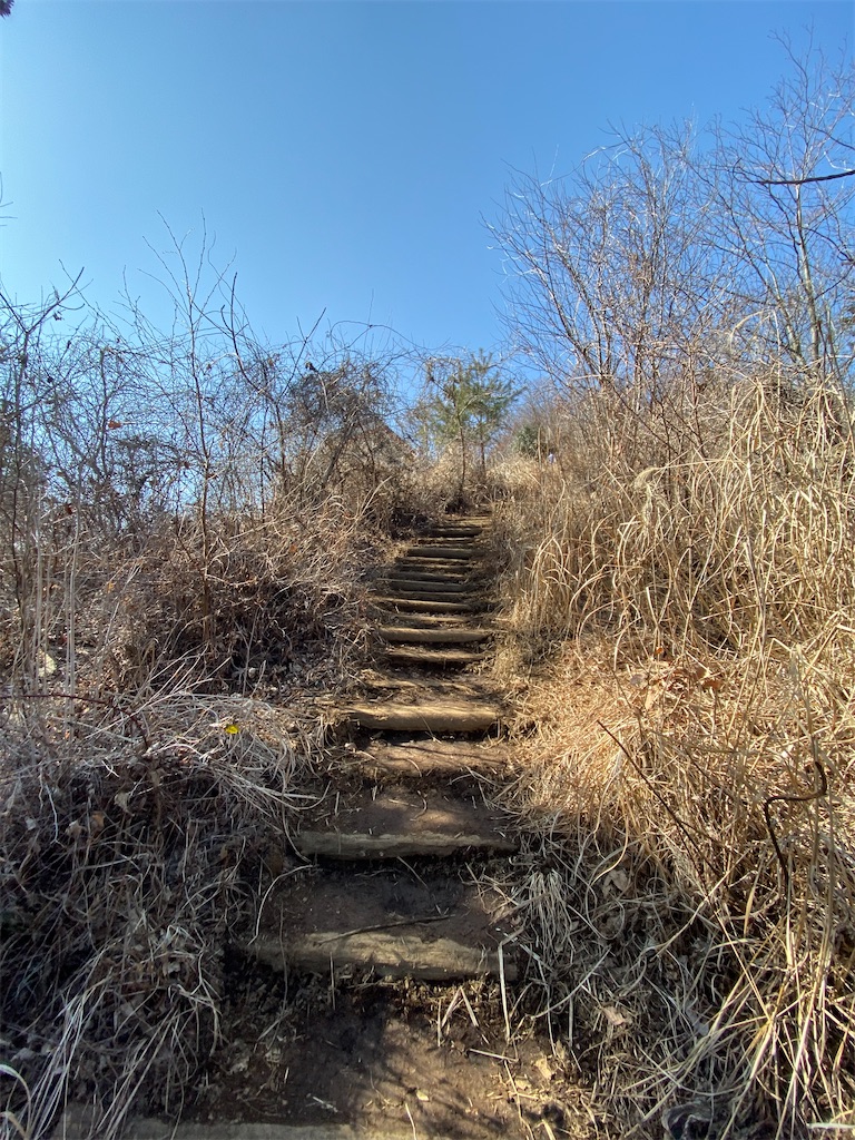 f:id:hikeringi:20200505174027j:image