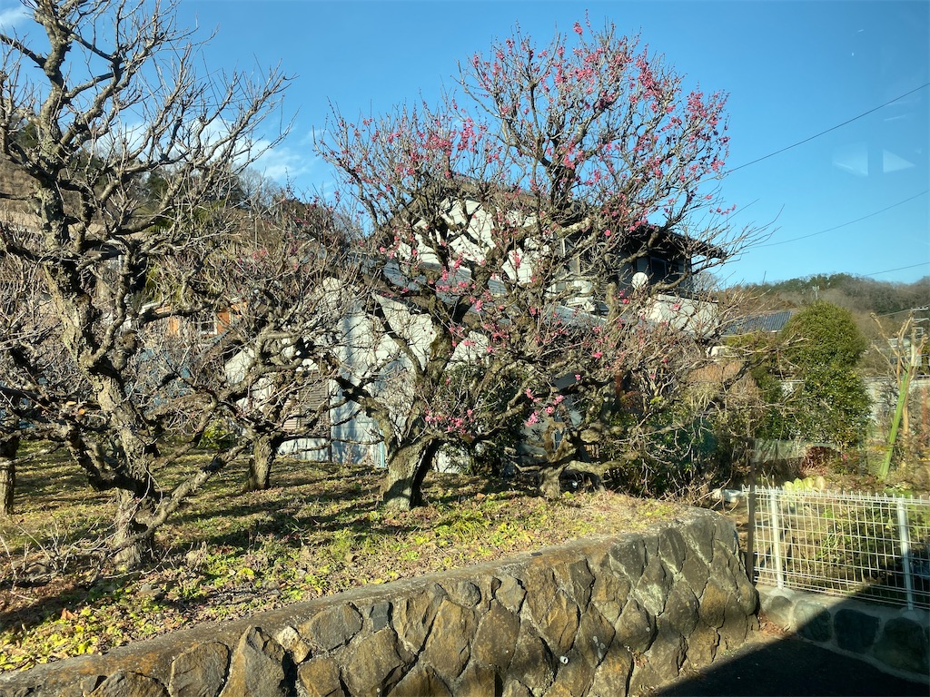 f:id:hikeringi:20200505174038j:image