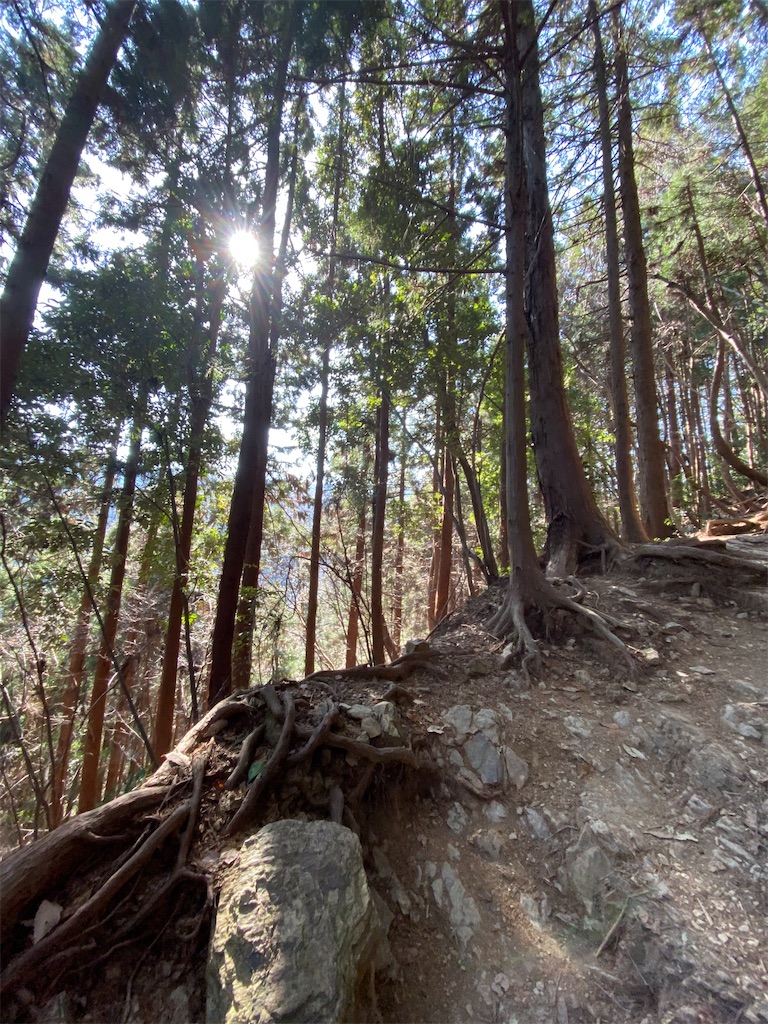 f:id:hikeringi:20200505174306j:image