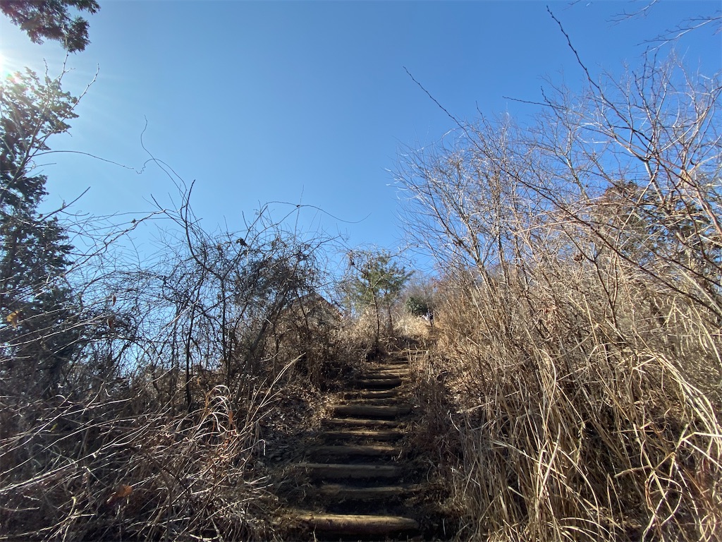 f:id:hikeringi:20200505174435j:image