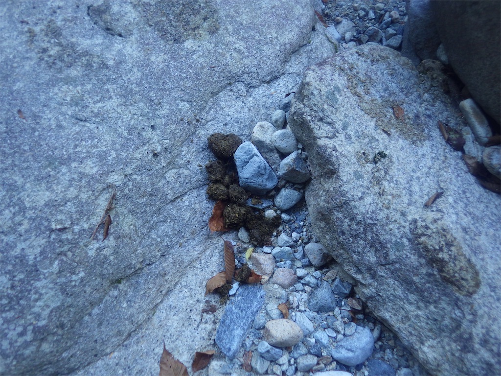 f:id:hikeshi178:20190913140911j:image f:id:hikeshi178:20190913140911j:image