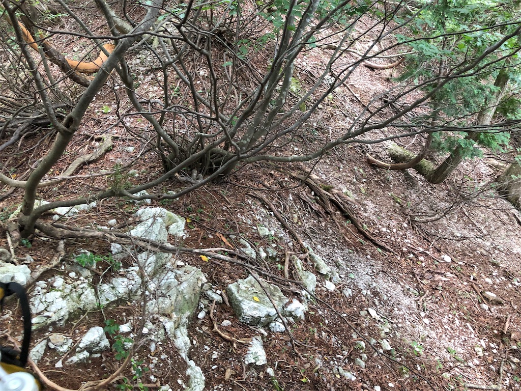 f:id:hikeshi178:20191015232604j:image f:id:hikeshi178:20191015232604j:image