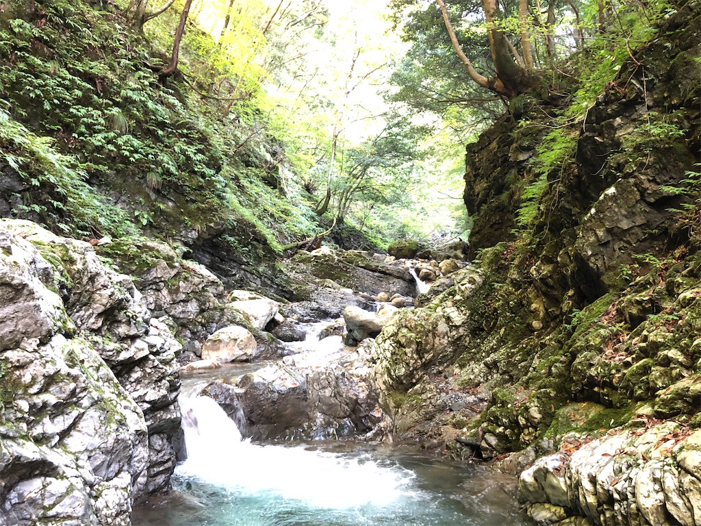f:id:hikeshi178:20191016224608j:image f:id:hikeshi178:20191016224608j:image