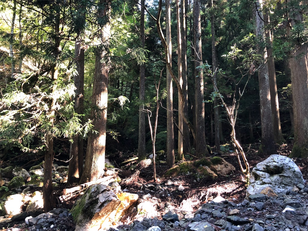 f:id:hikeshi178:20191016224944j:image f:id:hikeshi178:20191016224944j:image