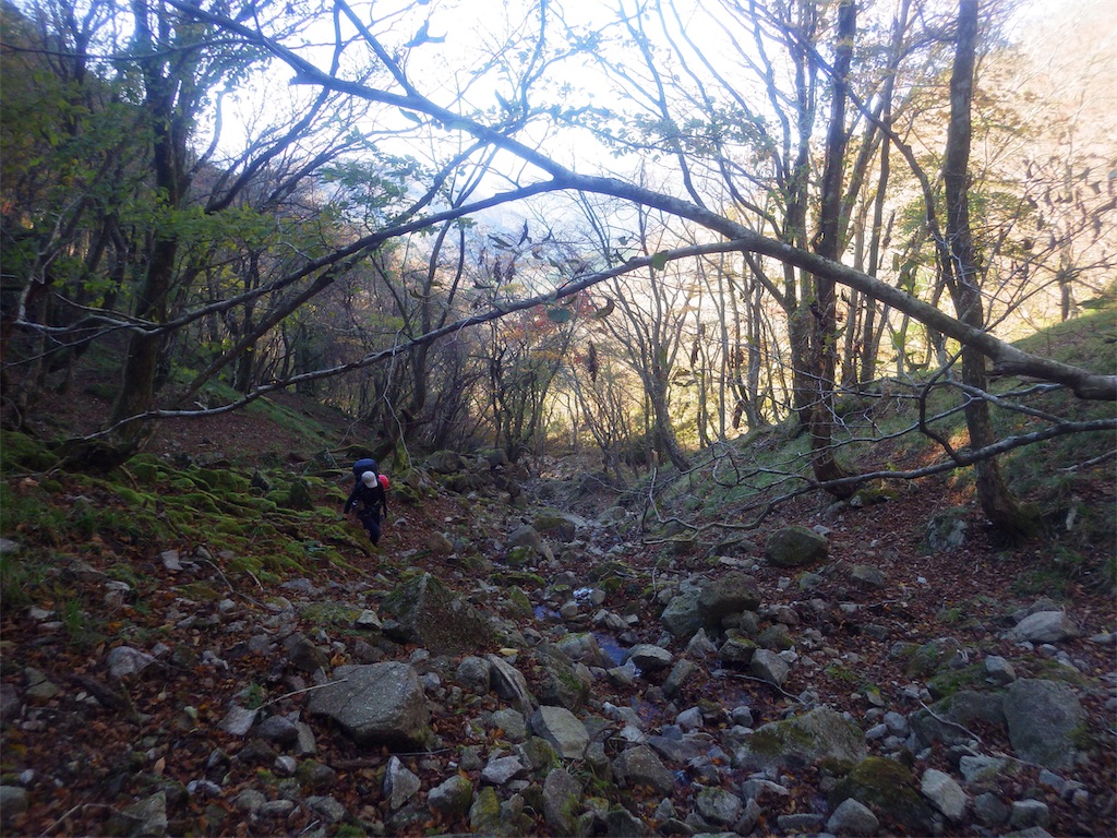 f:id:hikeshi178:20191109112106j:image f:id:hikeshi178:20191109112106j:image