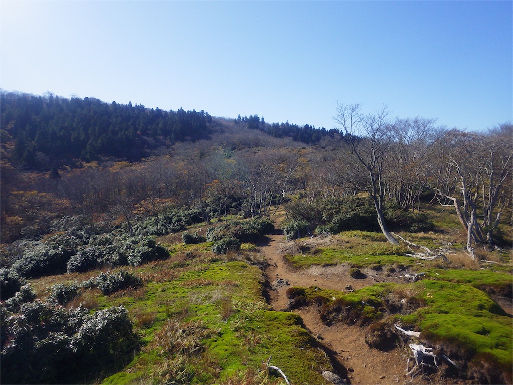 f:id:hikeshi178:20191109112301j:image f:id:hikeshi178:20191109112301j:image