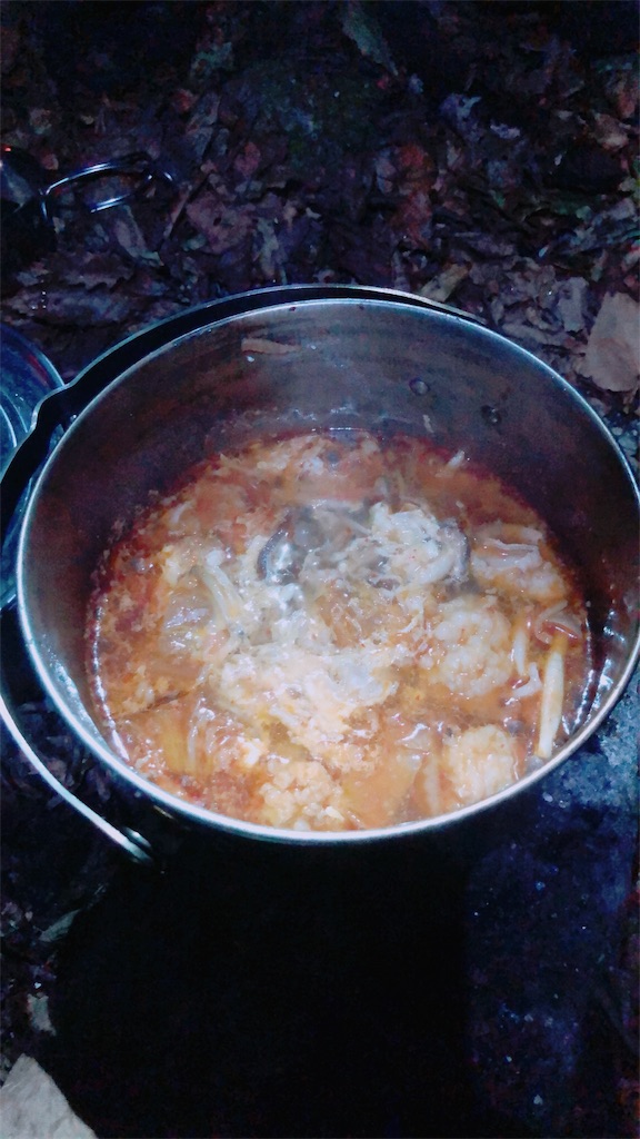 f:id:hikeshi178:20191109113100j:image f:id:hikeshi178:20191109113100j:image